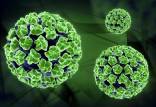 ویروس HPV,اچ پی وی و ایدز