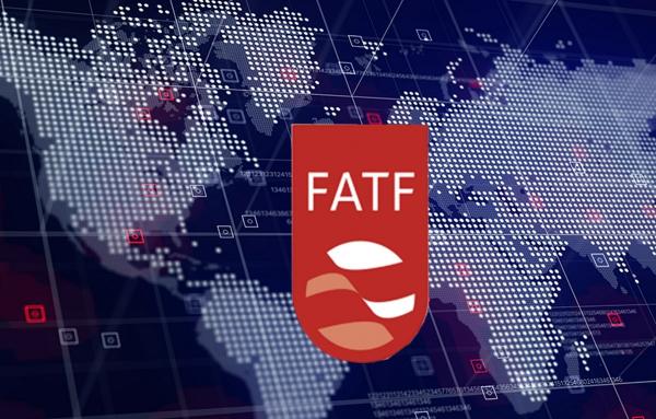 هادی حق شناس,صحبت های حق شناس درباره FATF