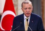 اردوغان,رئیس جمهور ترکیه