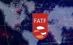 هادی حق شناس,صحبت های حق شناس درباره FATF