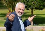 ظریف,واکنش ظریف به ایجاد چالش‌ها علیه حضورش در دولت