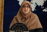 فاطمه مهاجرانی,سخنگوی دولت