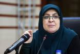 فاطمه مهاجرانی,سخنگوی دولت