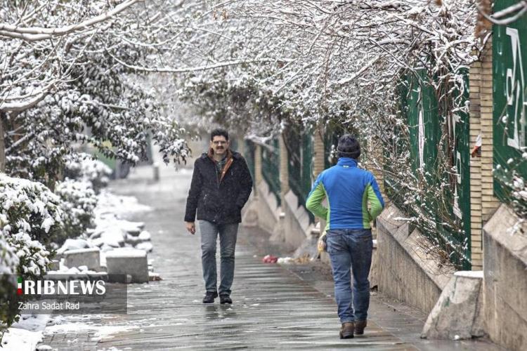 تصاویر بارش برف زمستانی در تهران,تصاویر برف در بهمن 1403,تصاویر بارش برف زمستان 1403