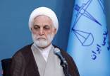 محسنی اژه ای,رئیس قوه قضاییه