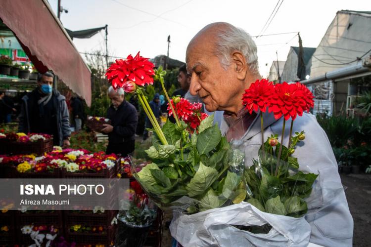 تصاویر بازار گل محلاتی در روزهای پایانی ۱۴۰۳,عکس هایی از بازار گل محلاتی در روزهای پایانی ۱۴۰۳,تصاویر بازار گل و گیاه محلاتی