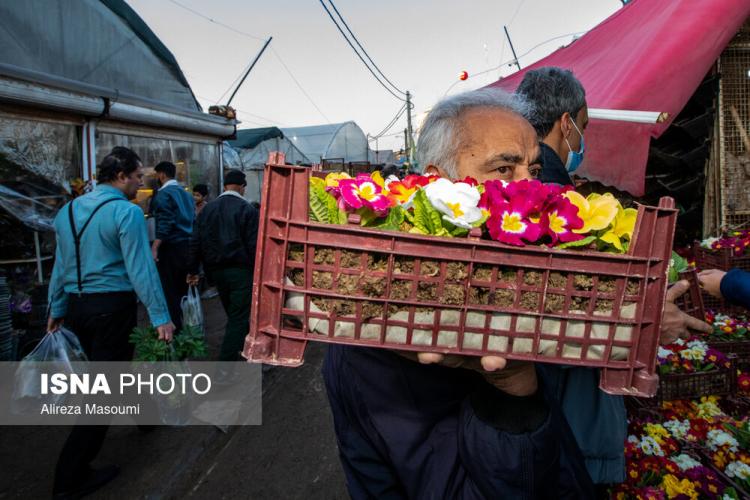 تصاویر بازار گل محلاتی در روزهای پایانی ۱۴۰۳,عکس هایی از بازار گل محلاتی در روزهای پایانی ۱۴۰۳,تصاویر بازار گل و گیاه محلاتی