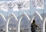 طالبان,تعلیق ممنوعیت فعالیت طالبان در روسیه