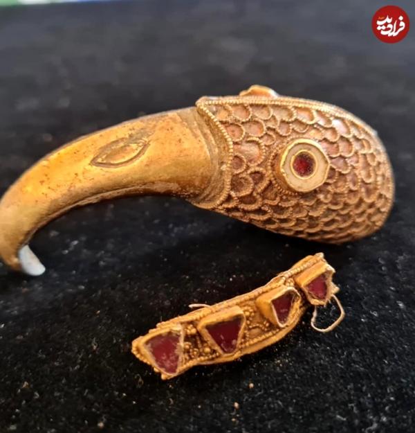 گنج کلاغ طلایی گنج کلاغ طلایی,کشف گنج کلاغ طلایی در گردهمایی فلزیابی