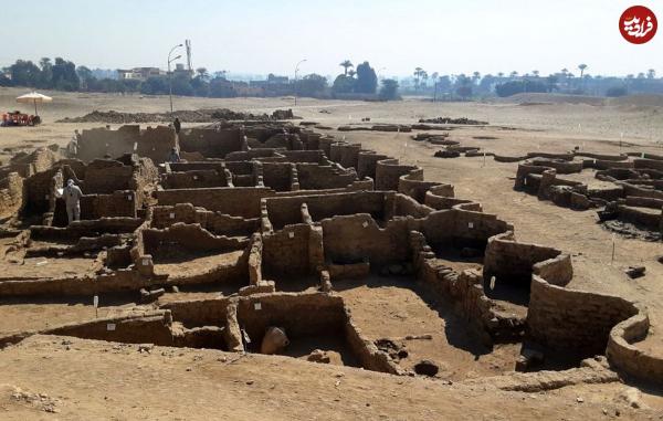 ماهی طلایی ماهی طلایی,کشف ماهی طلایی و مقبرۀ عجیب گاو در مصر