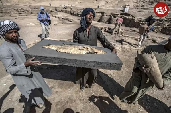 ماهی طلایی ماهی طلایی,کشف ماهی طلایی و مقبرۀ عجیب گاو در مصر