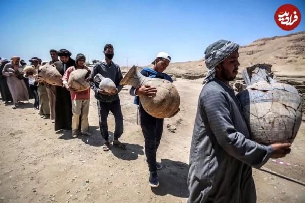 ماهی طلایی ماهی طلایی,کشف ماهی طلایی و مقبرۀ عجیب گاو در مصر