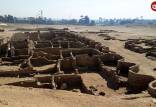ماهی طلایی,کشف ماهی طلایی و مقبرۀ عجیب گاو در مصر