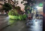طوفان در تهران,طوفان در تهران و قم