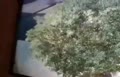 فیلم/ لحظه ربودن یک روحانی در ایرانشهر سیستان و بلوچستان توسط افراد ناشناس