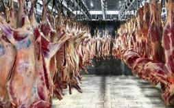 سشگوشت قرمز,گرانی گوشت