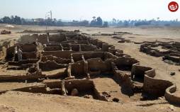 ماهی طلایی,کشف ماهی طلایی و مقبرۀ عجیب گاو در مصر