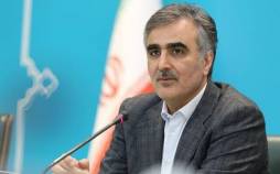 محمدرضا فرزین,رئیس بانک مرکزی