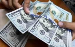 قیمت دلار سکه طلا,قیمت سکه طلا دلار در 1 خرداد 1404