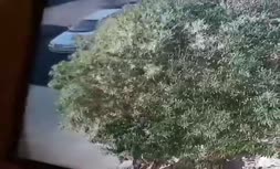 فیلم/ لحظه ربودن یک روحانی در ایرانشهر سیستان و بلوچستان توسط افراد ناشناس