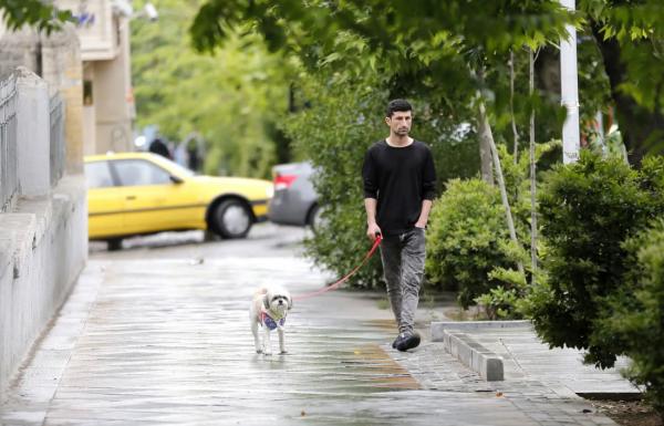 سگ گردانی سگ گردانی,ممنوعیت سگ گردانی از تهران تا ایلام