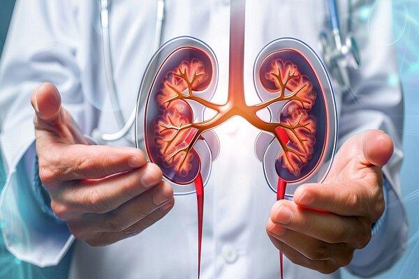 کلیه کلیه,تشخیص بیماری کلیه از طریق ماسک تنفسی