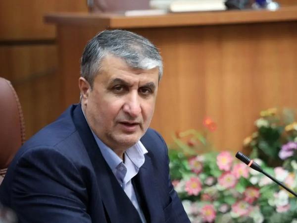 محمد اسلامی,رئیس سازمان انرژی اتمی
