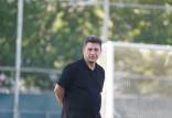 امیر قلعه نویی,سرمربی تیم ملی فوتبال ایران