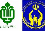 بنیاد مستضعفان و کمیته امداد,انتقادات از بنیاد مستضعفان و کمیته امداد