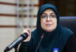 فاطمه مهاجرانی,سخنگوی دولت