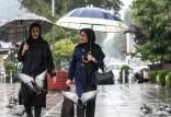 آخرین وضعیت آب و هوایی ایران,بارش برف و باران در کشور