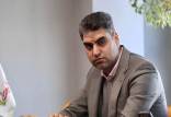 پیمان حدادی,رئیس هیات‌مدیره پرسپولیس
