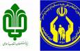 بنیاد مستضعفان و کمیته امداد,انتقادات از بنیاد مستضعفان و کمیته امداد