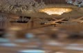 فیلم/ عروسی فوق مجلل و تریلیاردی آقازاده ایرانی در اوج بحران اقتصادی مردم با حضور بلاگر معروف روس