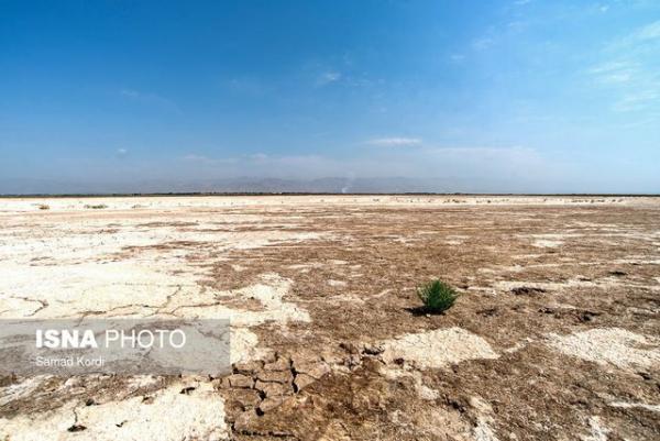 آلودگی هوای تهران آلودگی هوای تهران,تالاب خشکیده صالحیه منشأ گرد و غبار در تهران