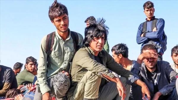 افغانی ها در ایران,جاسوسی افغانی ها در ایران