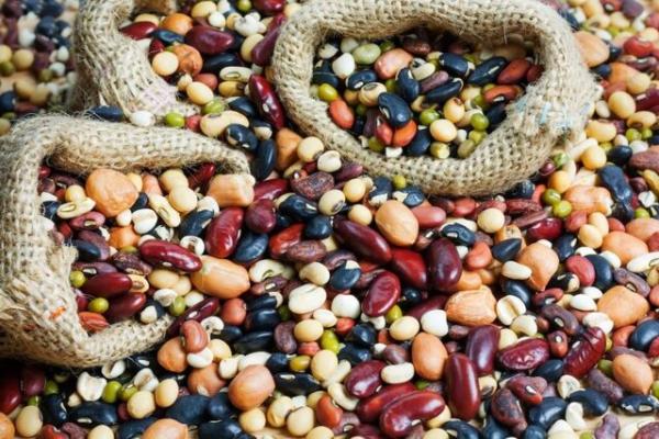صادرات حبوبات صادرات حبوبات,ممنوع شدن صادرات حبوبات