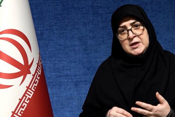 فاطمه مهاجرانی,سخنگوی دولت