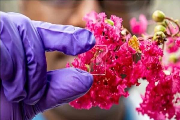 پوشش شیشه ای پوشش شیشه ای,پوشش شیشهای منحصربهفرد برای مقابله با گرما و سرما