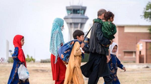افغانی افغانی,اخراج مهاجران افغان غیرقانونی از کشور