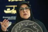 فاطمه مهاجرانی,سخنگوی دولت