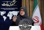 فاطمه مهاجرانی,سخنگوی دولت