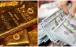 قیمت دلار سکه طلا,قیمت سکه طلا دلار در 21 تیر 1404