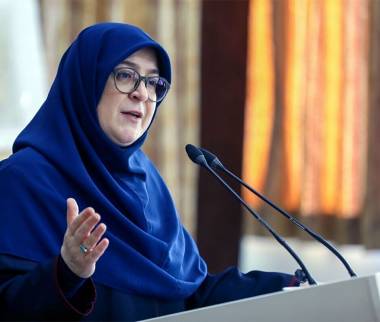 فاطمه مهاجرانی,سخنگوی دولت
