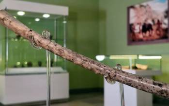 فلوت استخوانی باستانی در ایران؛ دریچهای نادر به سنتهای موسیقایی ۸ هزار سال پیش فلوت,فلوت استخوانی باستانی در ایران