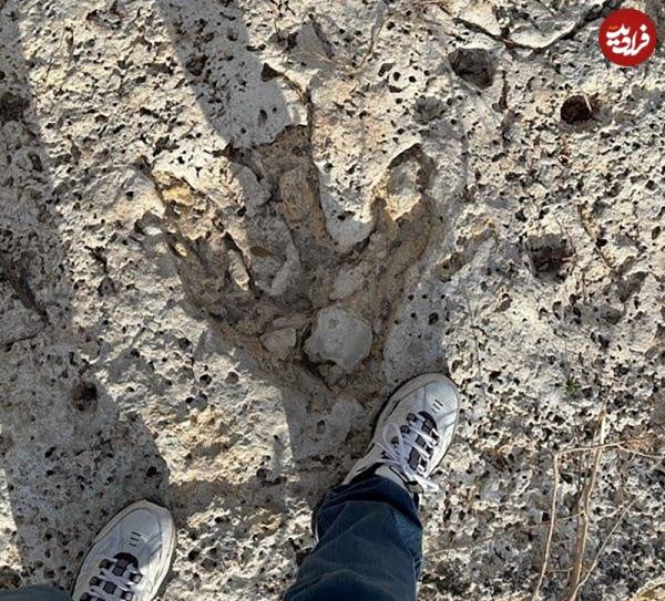 ردپا ردپا,ردپای هیولاهای گوشتخوار