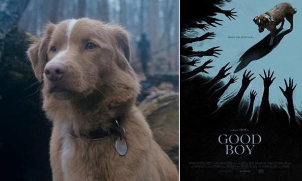فیلم ترسناک,فیلم ترسناک Good Boy