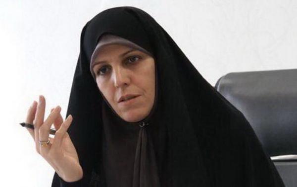 مولاوردی مولاوردی,صحبت های مولاوردی درباره لایحه جنجالی دولت پزشکیان