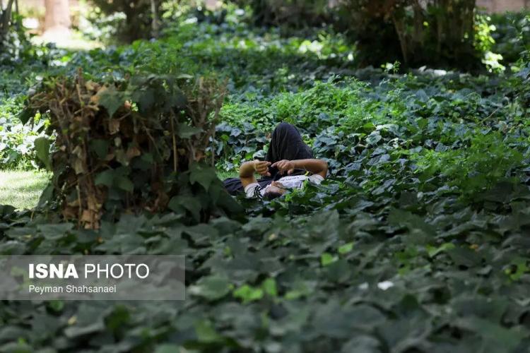 ,تصاویر هوای داغ تهران تابستان 1404,عکس‌ها از گرمای شدید تهران,تصاویر هوای تابستان در اصفهان