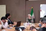 سعید جلیلی,دولت سایه